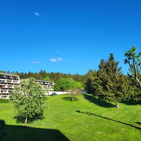 Zweizimmerwohnung - Im
